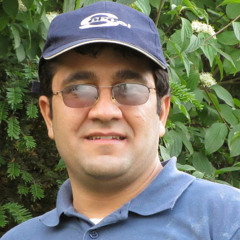 Sajjad Negahban