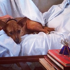 Horse and Buggy Time