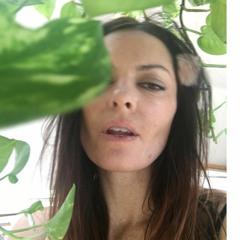 ShellyBev