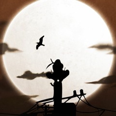 حسين المتولي