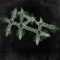 XRayFish