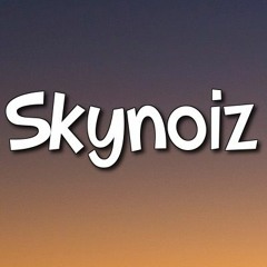 Skynoiz ™