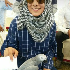 Aneeqa Rashid