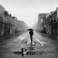 Projeсt Prana
