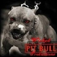 Nightpitbull69