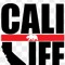 CALI ZOMBIEKILLER 2484