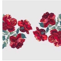 Jacqueline Gallagher