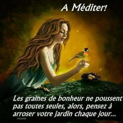 user366131427