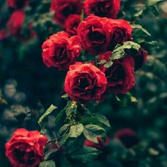 ♥️♥️♥️