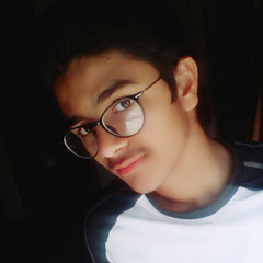 ahmed shykh