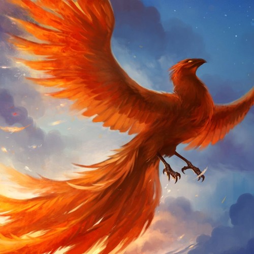 Phoenix Reposts’s avatar