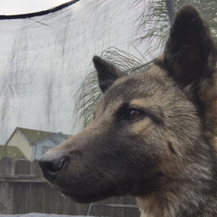 Adrian Tejeda Quiroz