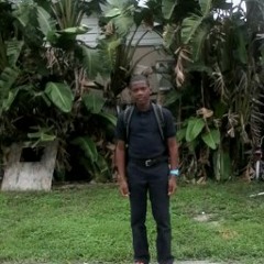 Faries Saint Vil