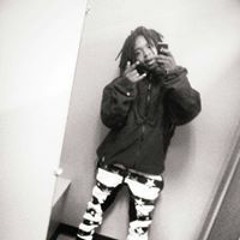 Dracoo Chasingchecks