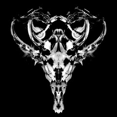 Richard Devine Montage Demos