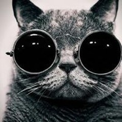 User 208491637