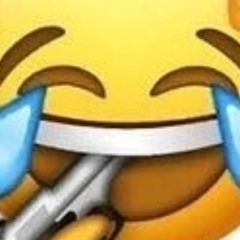 SEBPO