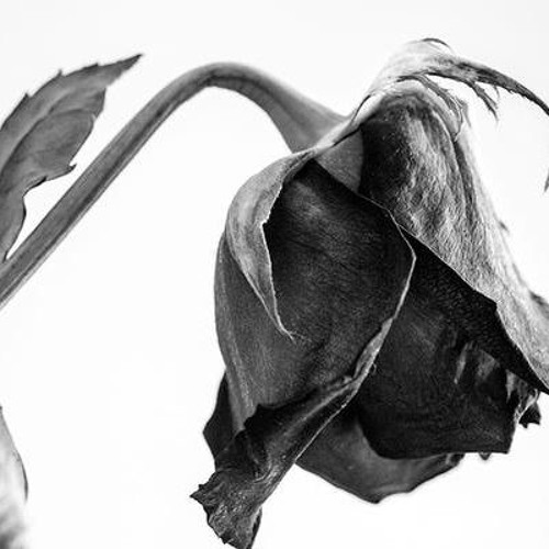 VENDREDISOIR (November 15th, 2019)