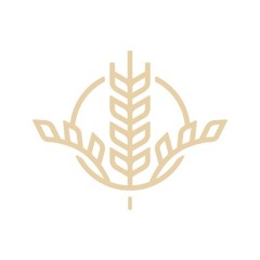 Life around The Table