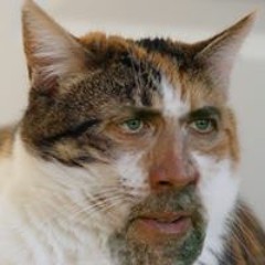 This Is My New Soundcloud, Last Account Was Bugging