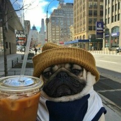 itsjhay