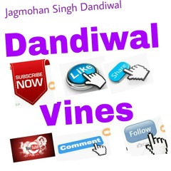 Dandiwal vines