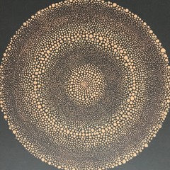 Rob Chop The Vinylator