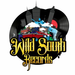 WildSouth Records