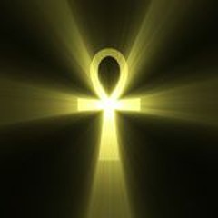 Vedran Istina Rodeš