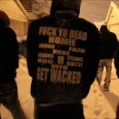 AP X PYG - SRT8