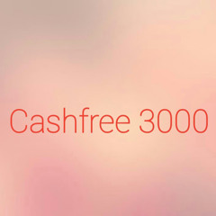 CashFlo 3000