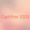 CashFlo 3000