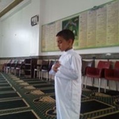 الشيخ محمود حمدي