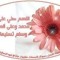 Habiba Awd