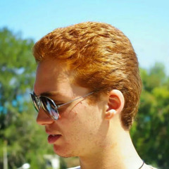 Med Karim Landoulsi