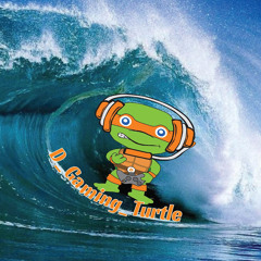 D Gaming Turtle