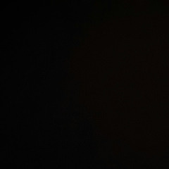 wael