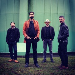 Scratchdog Stringband