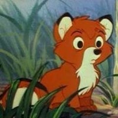 akos1991