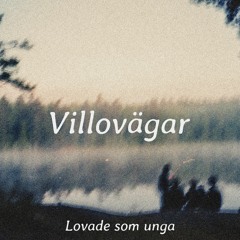 Villovägar