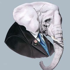 mr.elephant