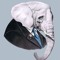 mr.elephant