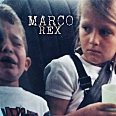 Chapter 8 Seashore and Horizon- Cornelius (cover)