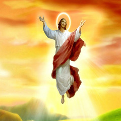 Buğra Yiğit Pektürk