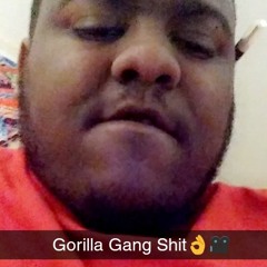 Gorilla Gang Black🎥