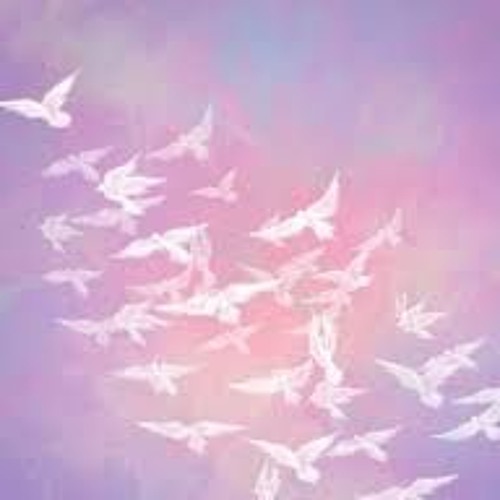 Stream dovebox music | Listen to songs, albums, playlists for free on ...