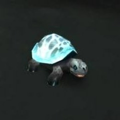 TurquoiseTurtle