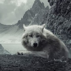Grand Wolf