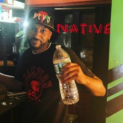 Native Da Rebel Sun