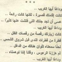 Abu Noor El Shazly